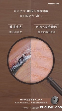 图片包含 桌子, 男人, 球, 播放器 描述已自动生成